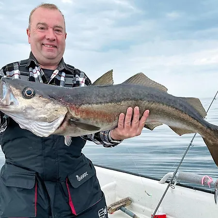 6 Person In Skudeneshavn-by Traum בית נופש Skudeneshavn