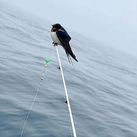 Prázdninový dům 6 Person In Skudeneshavn-by Traum *